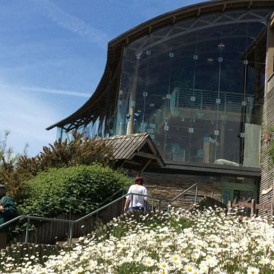 Welsh Wildlife Centre & Teifi Marshes