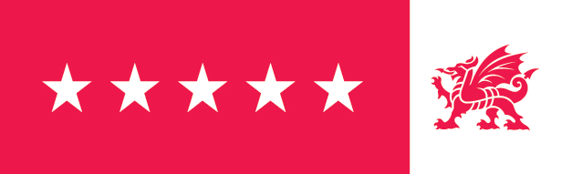 5 stars